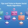 Social Media Algorithms: How To Stay Ahead Of The Curve
